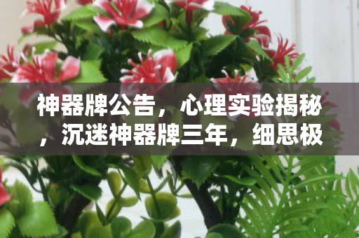 神器牌公告,心理实验揭秘,沉迷神器牌三年,细思极恐的自我囚禁 神器牌公告,心理实验揭秘,沉迷神器牌三年,细思极恐的自我囚禁