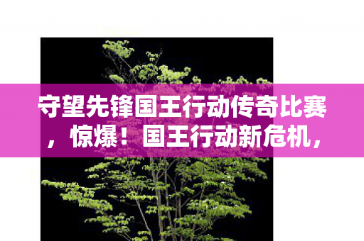 守望先锋国王行动传奇比赛,惊爆!国王行动新危机,99%玩家竟被这3大悬念逼疯? 守望先锋国王行动传奇比赛,惊爆!国王行动新危机,99%玩家竟被这3大悬念逼疯?