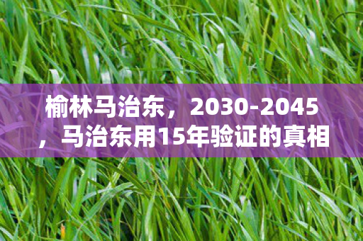 榆林马治东,2030-2045,马治东用15年验证的真相,让百万玩家集体沉默! 榆林马治东,2030-2045,马治东用15年验证的真相,让百万玩家集体沉默!