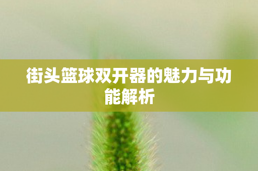 街头篮球双开器的魅力与功能解析图片