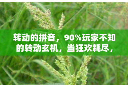 转动的拼音,90%玩家不知的转动玄机,当狂欢耗尽,谁在收割你的最后一丝热情? 转动的拼音,90%玩家不知的转动玄机,当狂欢耗尽,谁在收割你的最后一丝热情?