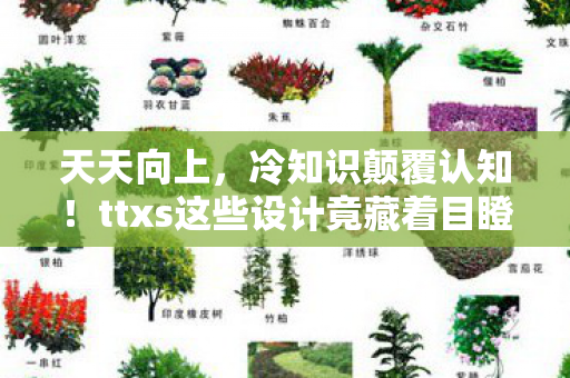 天天向上,冷知识颠覆认知!ttxs这些设计竟藏着目瞪口呆的秘密 天天向上,冷知识颠覆认知!ttxs这些设计竟藏着目瞪口呆的秘密