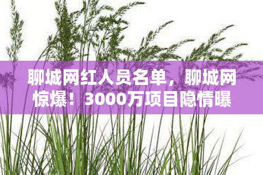 聊城网红人员名单,聊城网惊爆!3000万项目隐情曝光,背后真相让人吓一跳! 聊城网红人员名单,聊城网惊爆!3000万项目隐情曝光,背后真相让人吓一跳!