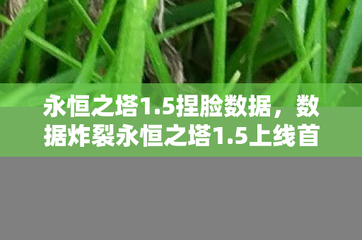 永恒之塔1.5捏脸数据,数据炸裂永恒之塔1.5上线首周,DAU暴涨300%,老玩家集体泪目! 永恒之塔1.5捏脸数据,数据炸裂永恒之塔1.5上线首周,DAU暴涨300%,老玩家集体泪目!