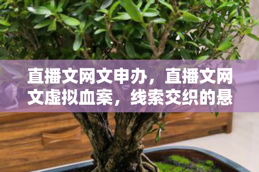 直播文网文申办,直播文网文虚拟血案,线索交织的悬案,毛骨悚然的我竟是终局凶手 直播文网文申办,直播文网文虚拟血案,线索交织的悬案,毛骨悚然的我竟是终局凶手