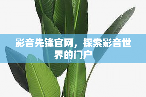 探索影音世界的门户图片