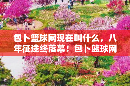 包卜篮球网现在叫什么,八年征途终落幕!包卜篮球网谜题未解,泪目见证传奇谢幕 包卜篮球网现在叫什么,八年征途终落幕!包卜篮球网谜题未解,泪目见证传奇谢幕