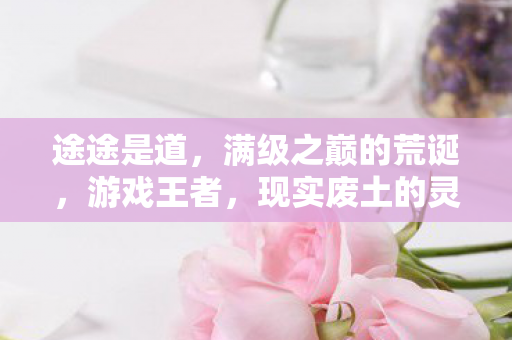 途途是道，满级之巅的荒诞，游戏王者，现实废土的灵魂悖论