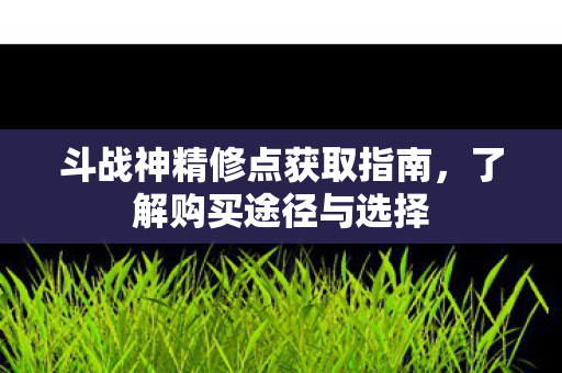斗战神精修点获取指南图片