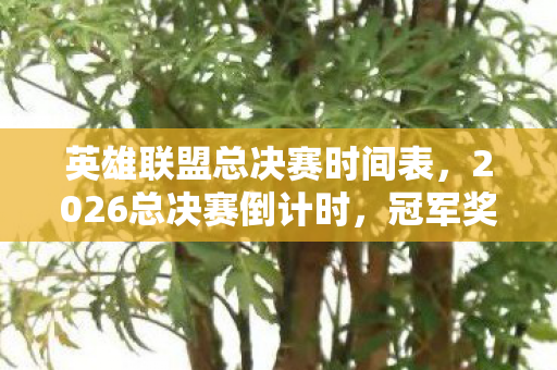 英雄联盟总决赛时间表,2026总决赛倒计时,冠军奖杯暗纹里的血色密码,谁在操控这场死亡轮回? 英雄联盟总决赛时间表,2026总决赛倒计时,冠军奖杯暗纹里的血色密码,谁在操控这场死亡轮回?