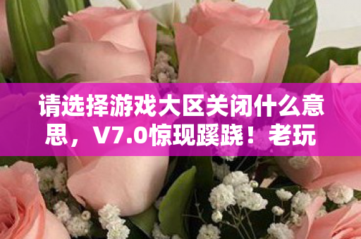 请选择游戏大区关闭什么意思,V7.0惊现蹊跷!老玩家泪目,这关闭键藏着多少青春? 请选择游戏大区关闭什么意思,V7.0惊现蹊跷!老玩家泪目,这关闭键藏着多少青春?