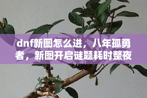 dnf新图怎么进,八年孤勇者,新图开启谜题耗时整夜,关服那刻泪目竟因他 dnf新图怎么进,八年孤勇者,新图开启谜题耗时整夜,关服那刻泪目竟因他