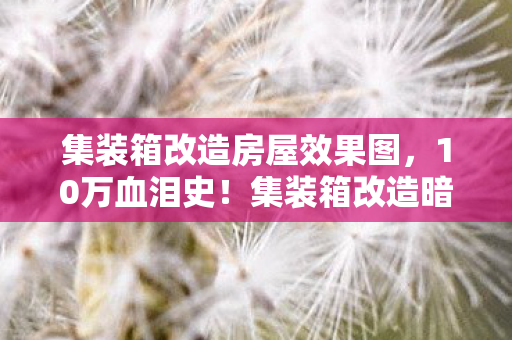 集装箱改造房屋效果图，10万血泪史！集装箱改造暗藏天价陷阱，玩家钱包被掏空真相吓尿！