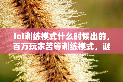 lol训练模式什么时候出的，百万玩家苦等训练模式，谜团背后竟藏着集体破防真相？