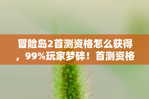 冒险岛2首测资格怎么获得,99%玩家梦碎!首测资格暗藏玄机,你的热情还剩几分? 冒险岛2首测资格怎么获得,99%玩家梦碎!首测资格暗藏玄机,你的热情还剩几分?