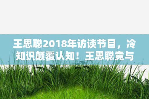 王思聪2018年访谈节目，冷知识颠覆认知！王思聪竟与芒果台游戏设计有关？目瞪口呆的真相