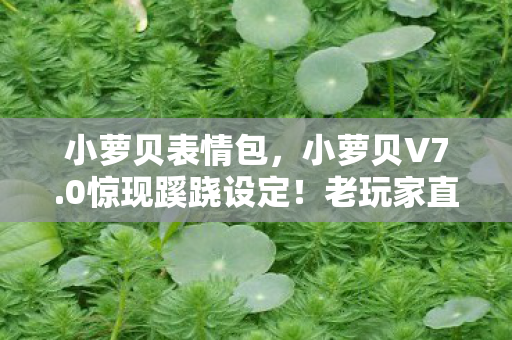 小萝贝表情包，小萝贝V7.0惊现蹊跷设定！老玩家直呼这波我裂开