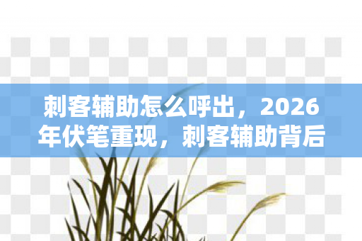 刺客辅助怎么呼出，2026年伏笔重现，刺客辅助背后，是谁让我鼻子一酸？