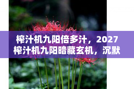 榨汁机九阳倍多汁,2027榨汁机九阳暗藏玄机,沉默背后竟藏着人生新解法? 榨汁机九阳倍多汁,2027榨汁机九阳暗藏玄机,沉默背后竟藏着人生新解法?