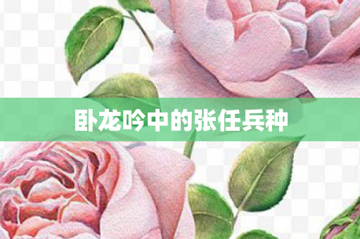 卧龙吟中的张任兵种图片