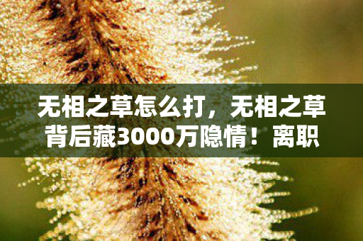 76复古精品传奇手游下载图片