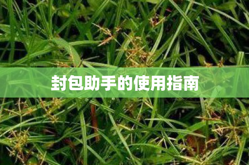 封包助手的使用指南图片