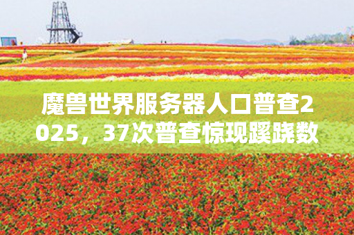 魔兽世界服务器人口普查2025图片