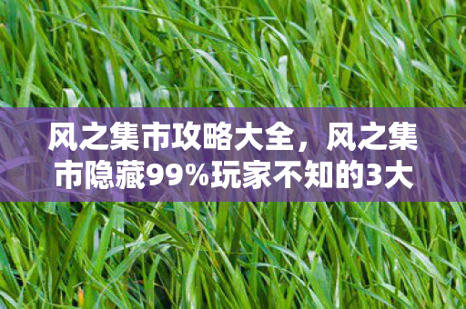 2026年风之集市惊现神秘狂欢图片