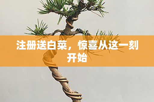 惊喜从这一刻开始图片