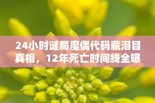 真相是氪金换空气图片