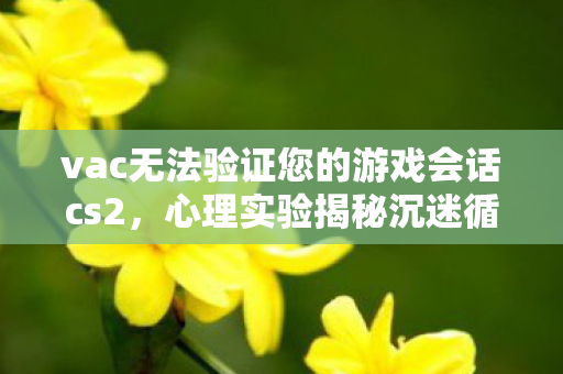 vac无法验证您的游戏会话cs2图片