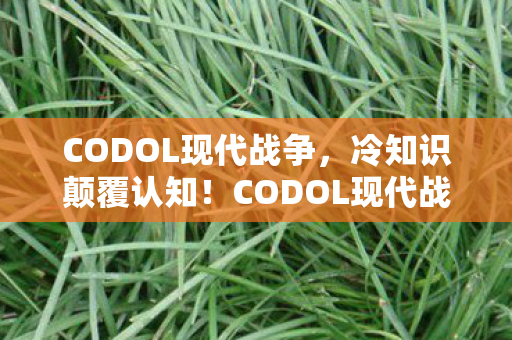 codol现代战争背后竟让我后背发凉图片