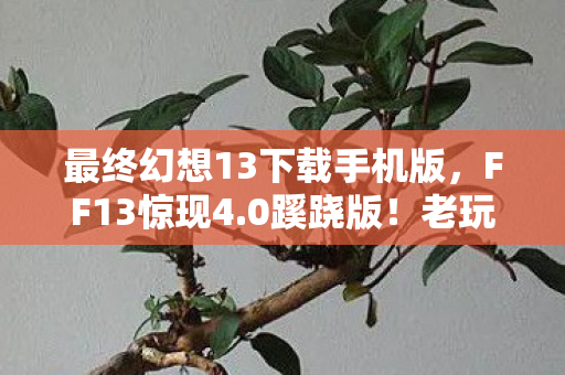 当赛尔号鲁迪的终极技能撕裂我的中年存在图片