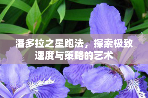 探索极致速度与策略的艺术图片