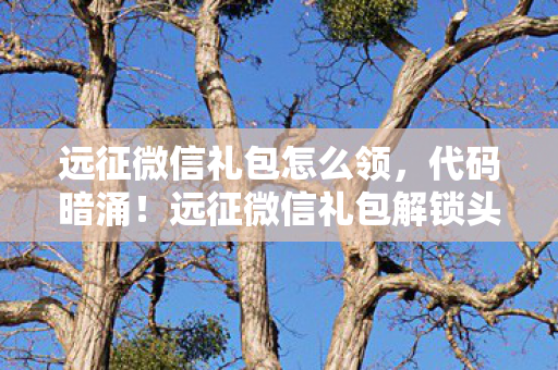 掌握5大Dota指令心得图片