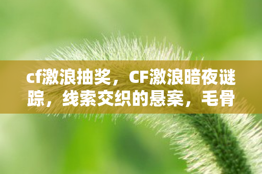 神秘代码线索下的悬案图片