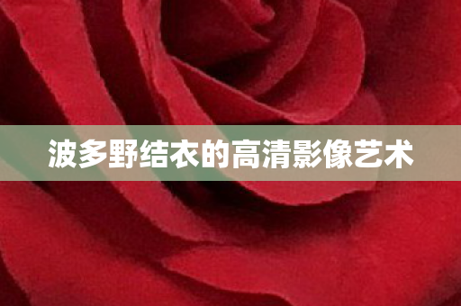 波多野结衣的高清影像艺术图片