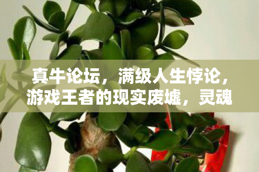 暗线操控下玩家集体头皮发麻的赛博牧场图片