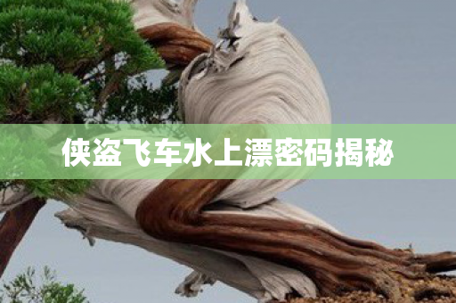 侠盗飞车水上漂密码揭秘图片