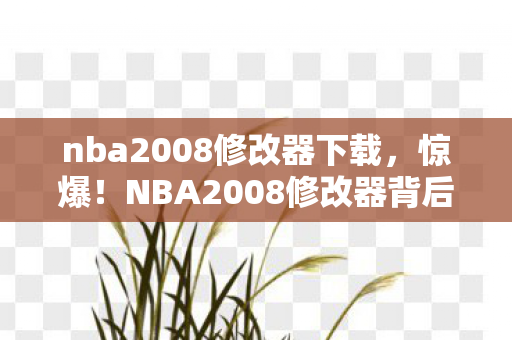 NBA2008解说补丁竟藏目瞪口呆的十年谎言图片
