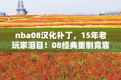 NBA2008中文补丁选原版还是魔改图片
