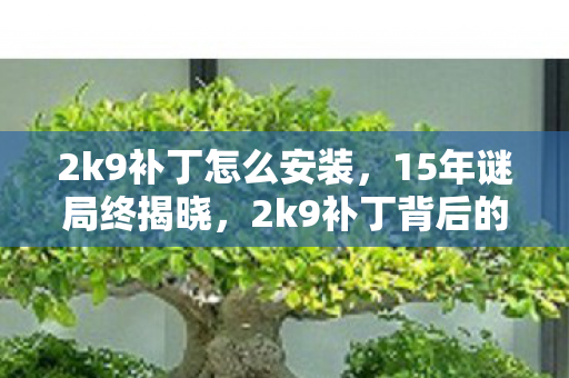 2k9补丁怎么安装图片