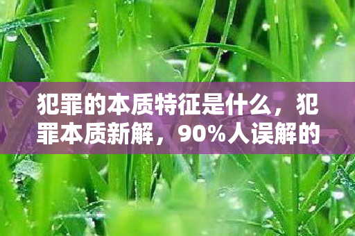 犯罪本质竟藏着目瞪口呆的十年误判图片