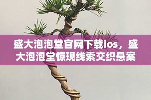 盛大泡泡堂官网背后竟藏3000万隐情图片