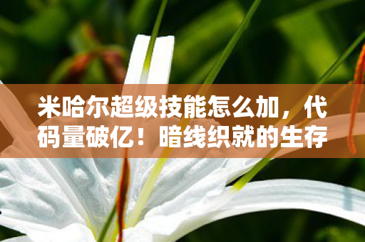 米哈尔3大超级技能选谁图片
