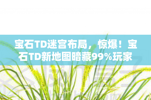 宝石TD迷宫布局图片