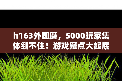 游戏指挥的头皮发麻逆袭路图片