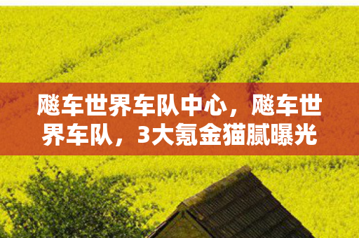 飚车世界车队3000万预算背后图片