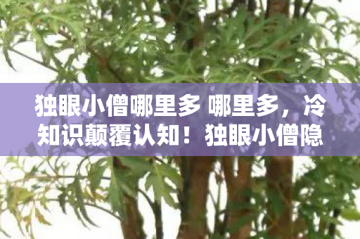 雷神3彩蛋惊现5000万隐情图片