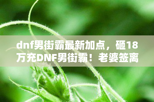 当男街霸的毒针刺穿DNF的脊椎图片